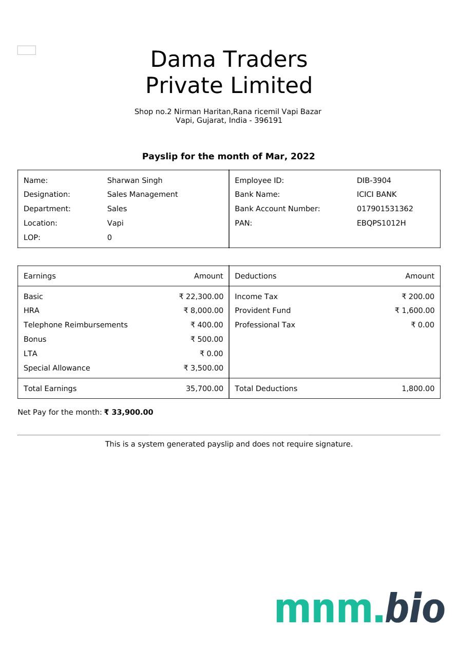 Szablon odcinka wypłaty Dama Traders w formatach Word i PDF